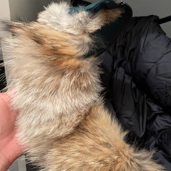 COPY - Canada goose rossclair coat in algonquin green. Immaculate condition - Picture 9 of 10